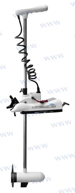 Haswing 24 Volti Gps
