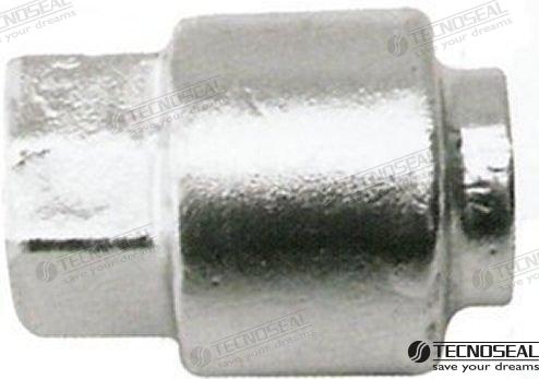 Anode Selva 80-100Hp